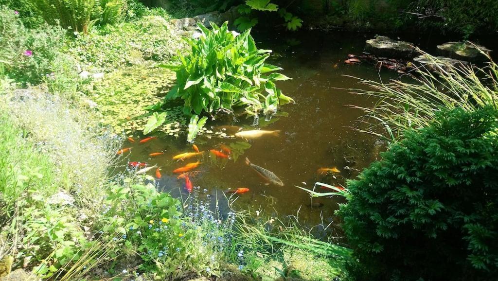 'Monktonmead Lodge' In Secluded Setting, With Private Indoor Pool. Ryde  Exterior photo